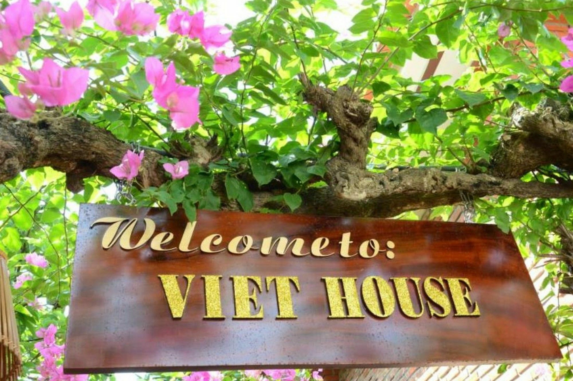 313 Cua Dai - Viet House Homestay Хойан Экстерьер фото